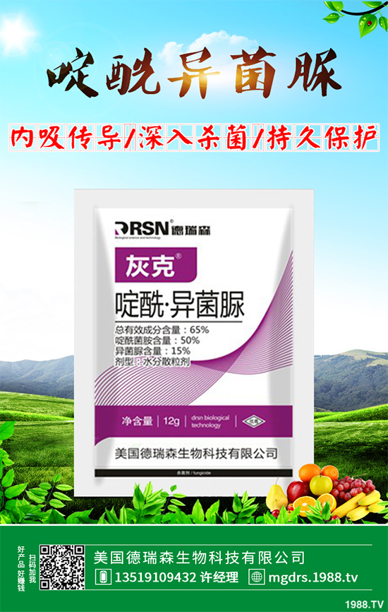 ����(n��i)�������r(ji��)��