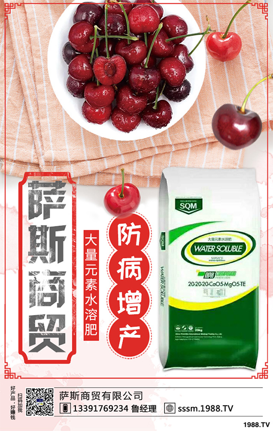 ������ԓ��ηNֲ���紺���׸߮a(ch��n)�Nֲ���g(sh��)Ҫ�c(di��n)