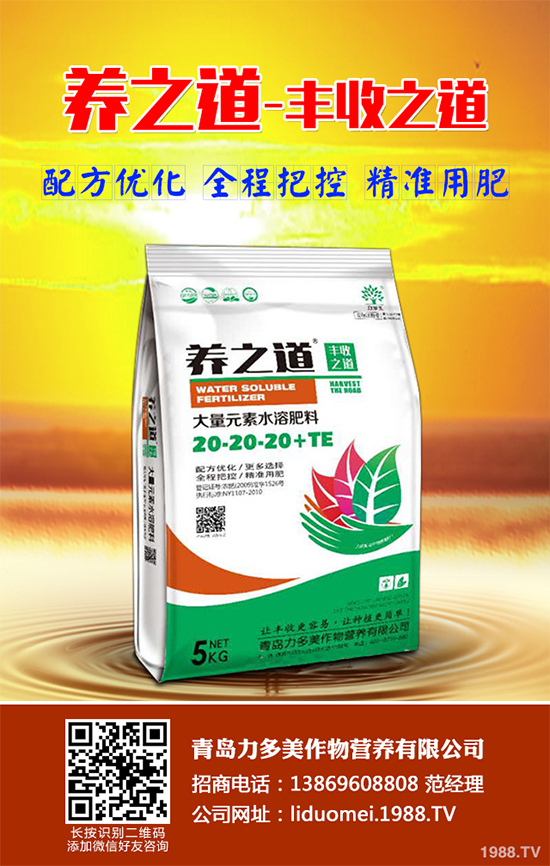 ���{(l��n)��ԓ��ηNֲ�����{(l��n)���߮a(ch��n)�Nֲ���g(sh��)Ҫ�c(di��n)