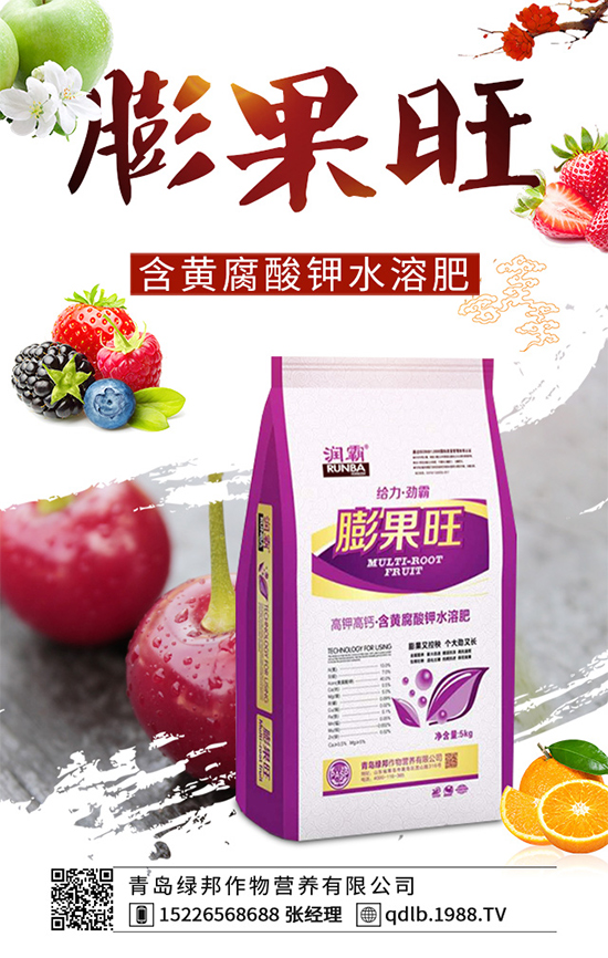 ����������Щ���湦Ч���R���ӵĹ�Ч���ü�ʳ�ý���