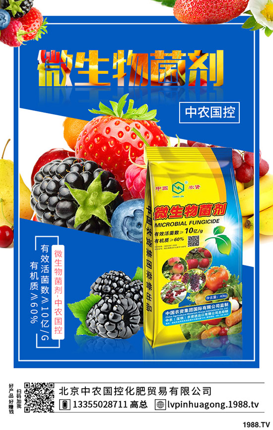 �����ʲô�I(y��ng)�B(y��ng)�r(ji��)ֵ����ϵĹ�Ч��ʳ��ע�����(xi��ng)��