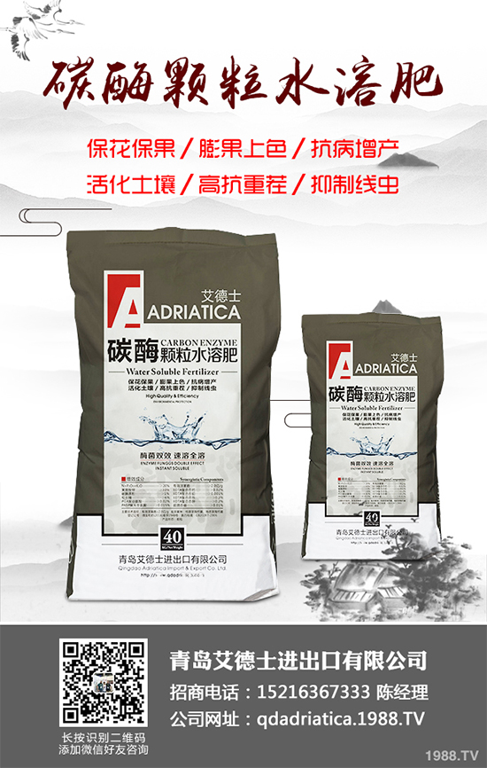 大棚西紅柿該如何種植？春季西紅柿種植管理技術(shù)