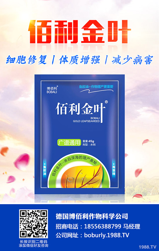 ��������A(y��)���ʺ����l(f��)���ʺ�������a����