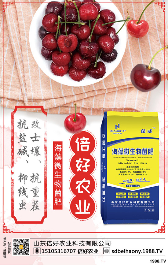     ���؃r(ji��)�����С��L(f��ng)�U(xi��n)���C(j��)�����棡2020-3-27�����������������