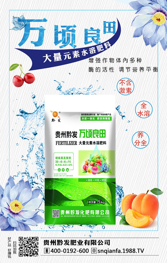 ���m�����缼�g(sh��)����Щ�����m�������ע�����(xi��ng)��