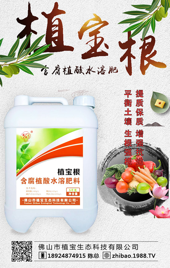 �紺���������Jʲô�r(sh��)�g�N�������J��ֲ�����Ҫ�c(di��n)��