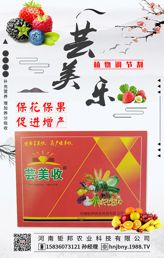 �����׽�����ʲôΣ���������׽����ķ��δ�ʩ��