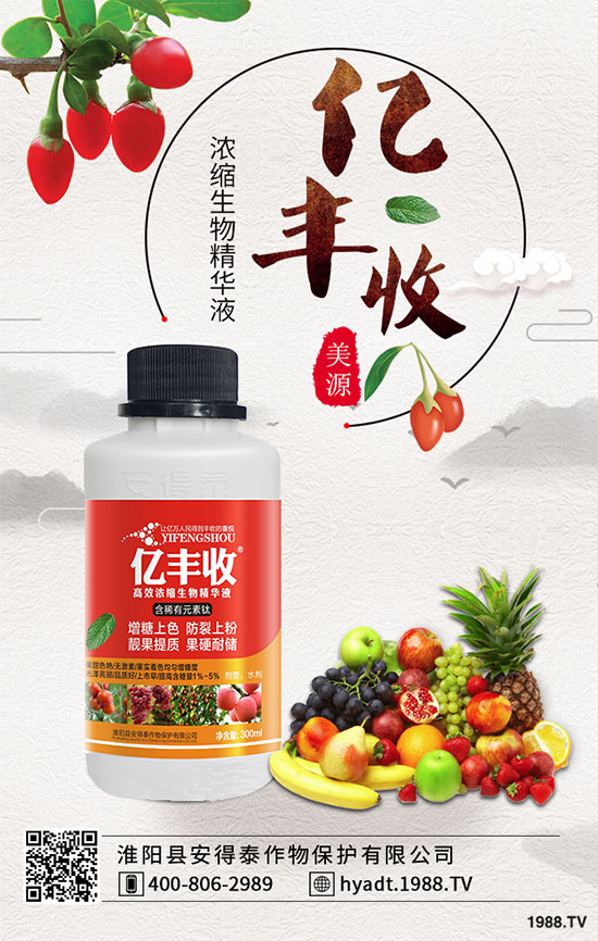 ���Ҙ����zʲô�Y����Ҙ����z��ô������