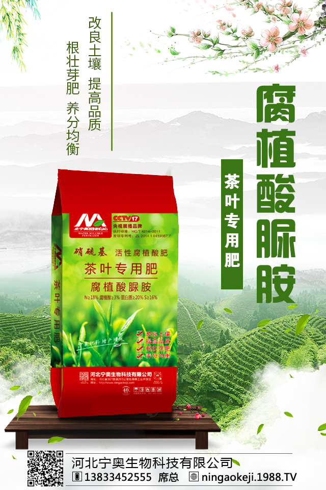 �ӱ����W����Ƽ����޹�˾