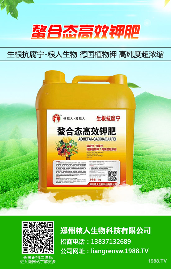 蔥得了灰霉病怎么辦？大蔥灰霉病的防治方法！