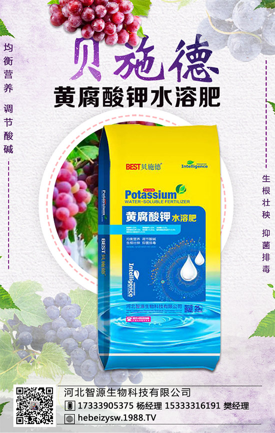 �۲˵ĠI�B(y��ng)�rֵ����Щ�������۲���ʲô��̎��