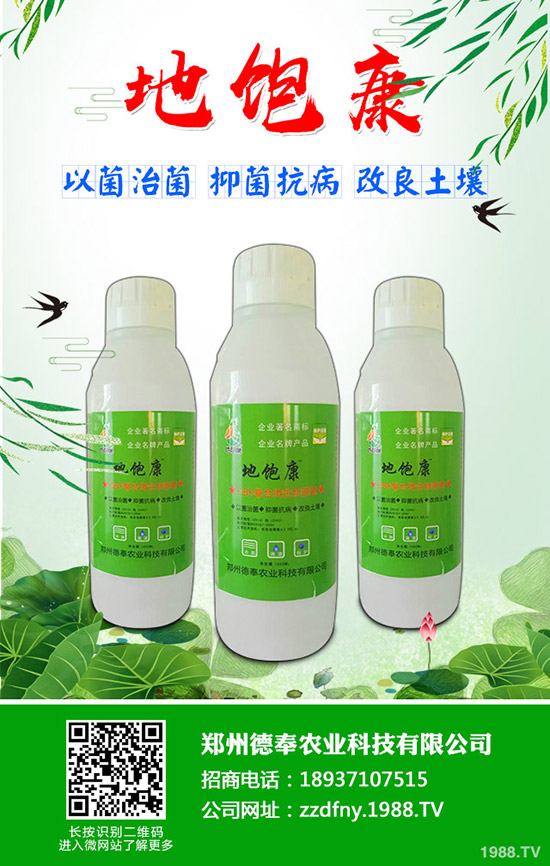 �ϹϺ��ǲ�����Щ�Y�����ϹϺ��ǲ����η���