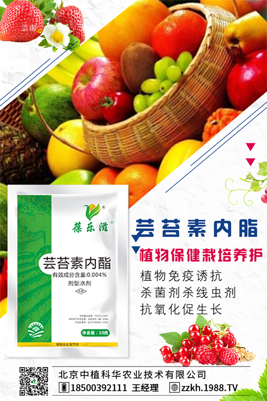 ���Ҫ��ô�Nֲ�����ˮ�ʹ���Ҫ�c��