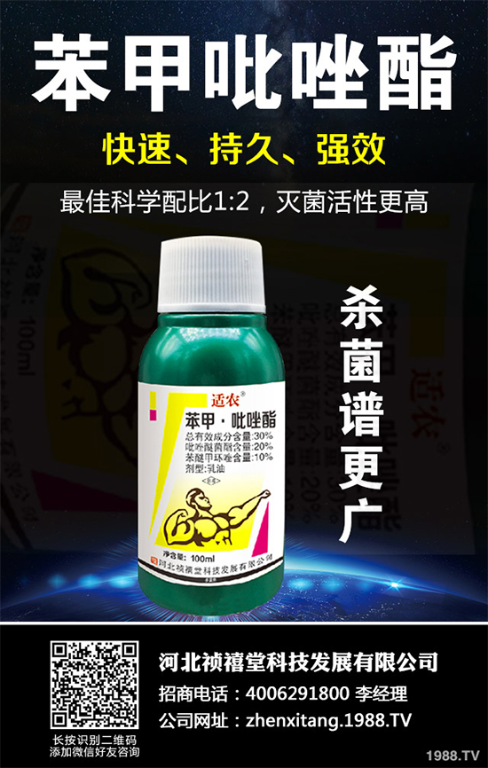 ���h(hu��n)��