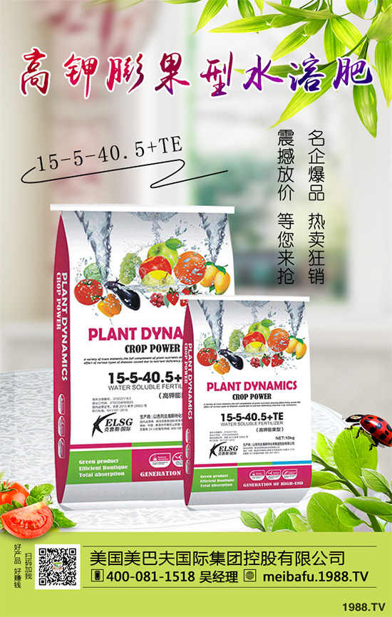 �ϹϷ��Ďׂ�(g��)���L(zh��ng)�A�����Ϲό�(du��)�������I(y��ng)�B(y��ng)Ҫ��