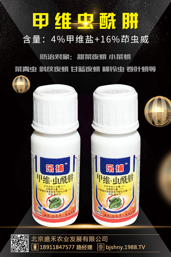 С���t֩��İl(f��)��Ҏ(gu��)������Щ��С���t֩����δ�ʩ��