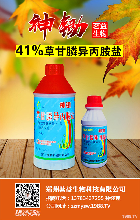 �����������Գɷ�bixlozone�ĸ����Գ��݄�Overwatch&reg;���ڰĴ�����������