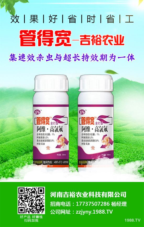 �����������x�������������������g(sh��)����