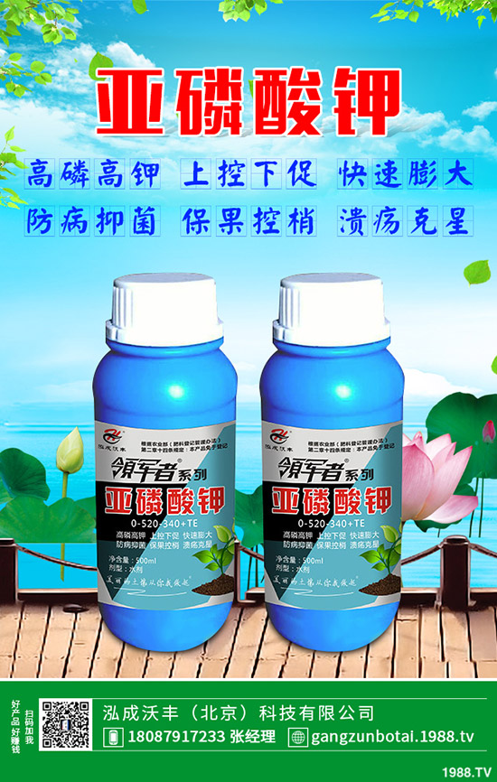 �S�Ϗ�����ʲôԭ�������S�Ϗ��ϸ���Ҫ�E��