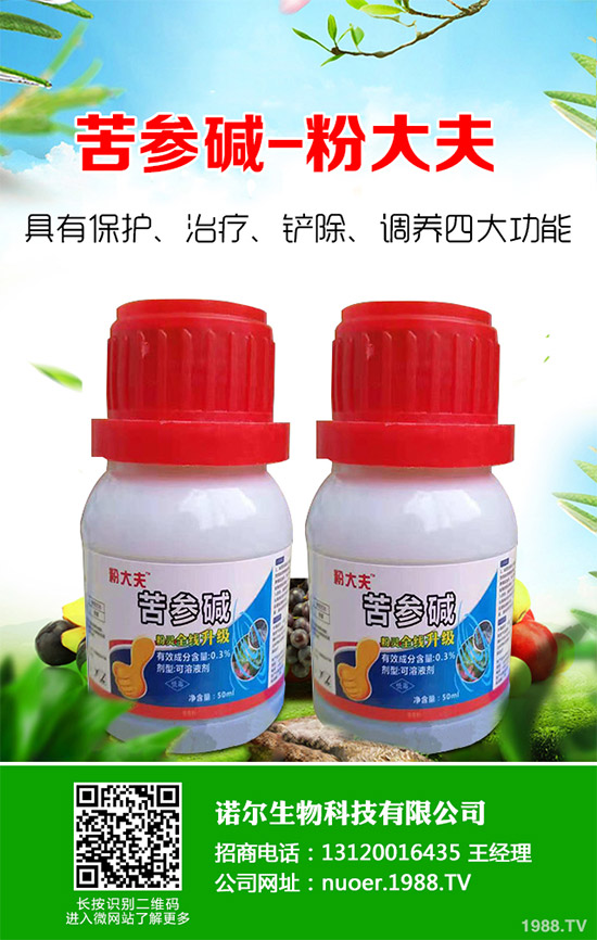 �{�����ӵă�(y��u)�������x���δ��ֲ���Ј��д�������