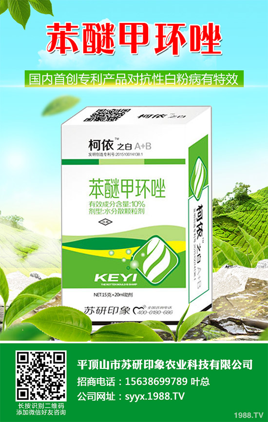     ��ذl(f��)�F(xi��n)���Ծ��꣬��(y��ng)���赾��������뿾����Ŀ�ˎ�Ԇ��}