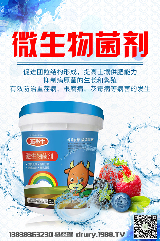 ����²�ԓ��ô�Nֲ���²˴���������gҪ�c