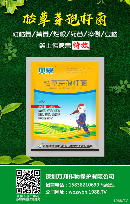 С����ù��ˎ������Ч����������׃����