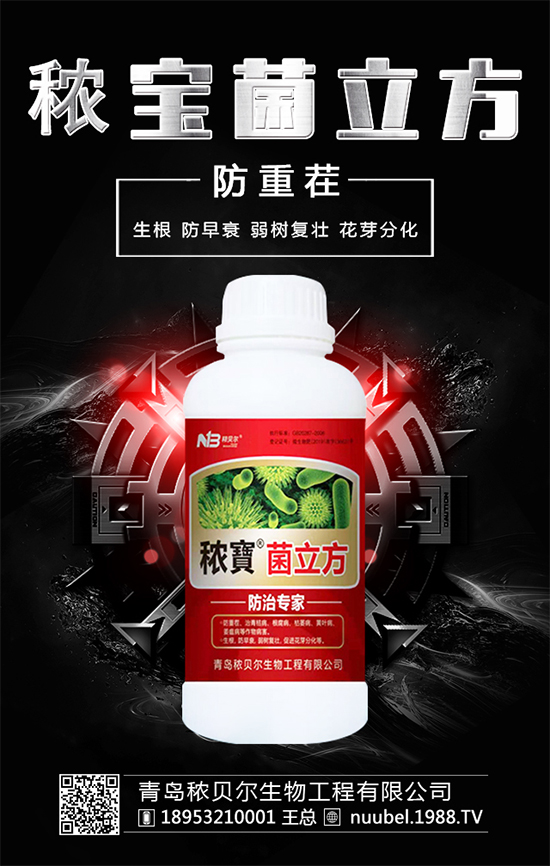 ����ʲô�r(sh��)����Բ��������պ�İ�����ô̎����