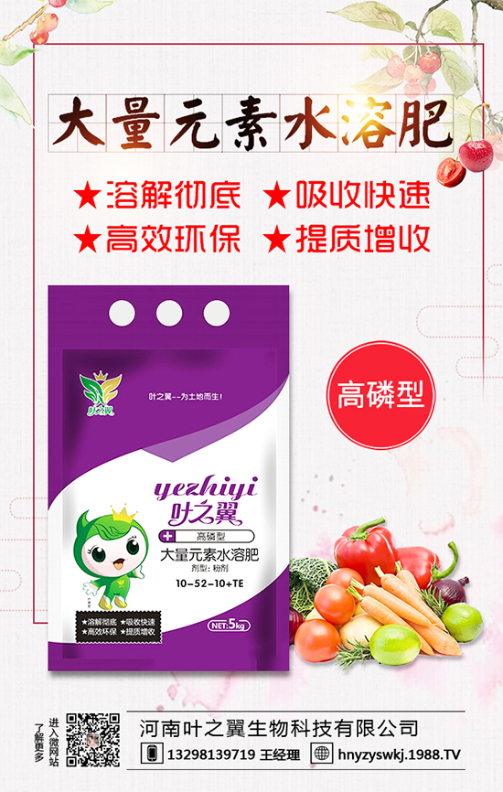 �������L��(x��)������Щ�����ɵ����g����Ҫ�c��