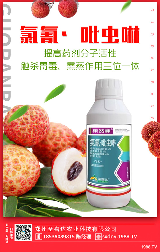 ��������ӛ���������x�y��߀�������������T��Ҫ���(qu��n)�����أ�