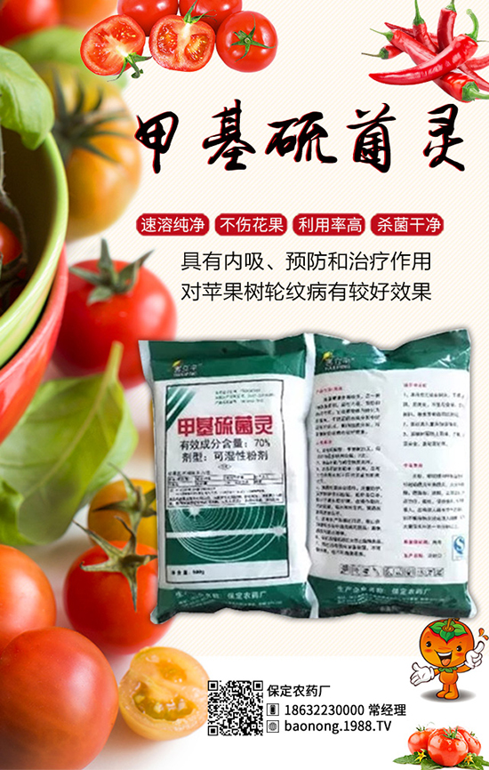 �������t�����༼�g(sh��)���������t�����x�����Σ�