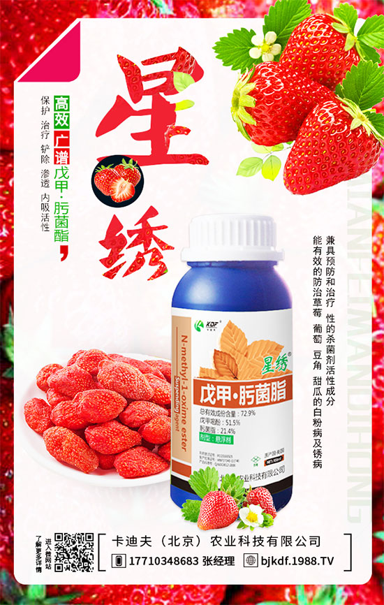 ����Ҫ��Ҫ��⣿����������_��֦�������