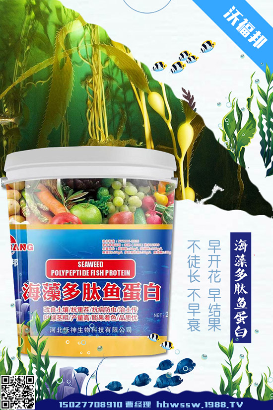     ���ӷNֲ��Ҫע����Щ��(w��n)�}�����ӵ�ˮ�ʹ���Ҫ�c(di��n)��