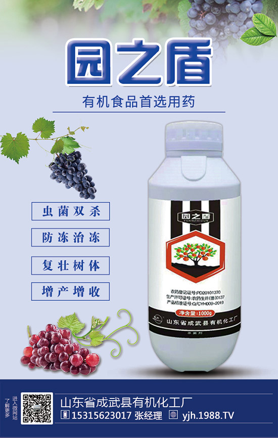 �J�S���ʩ�����J�S��ʲô���Ϻã��J�S������c(di��n)��ע�����(xi��ng)��