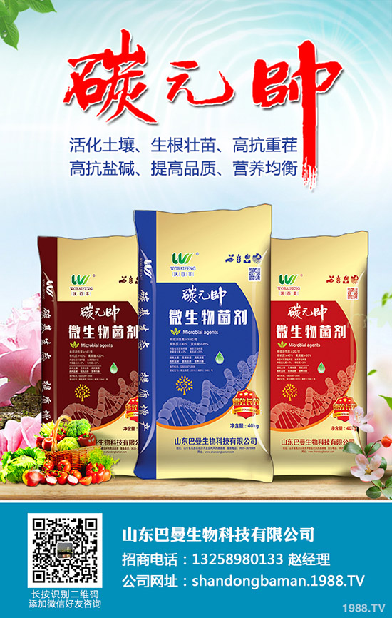     小麥干麥頭、死麥穗怎么辦？白穗、干穗、死穗的原因大全！如何預(yù)防？