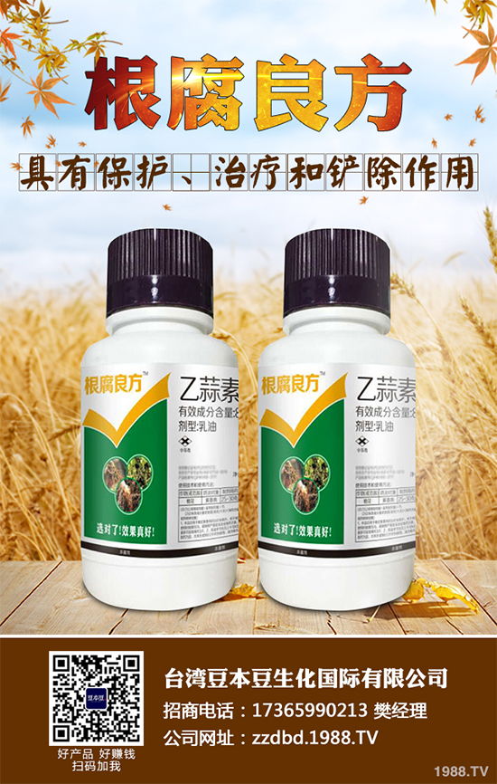 �O(p��ng)���������r(ji��)��