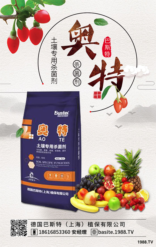 ���ߺ���������ʲô�^(q��)�e�������߷N�ӵķNֲ������