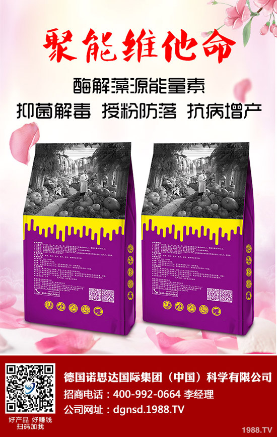 �ܱ��Ϲ���ô�Nֲ���ܱ��Ϲϵ����༼�g(sh��)Ҫ�c�c������