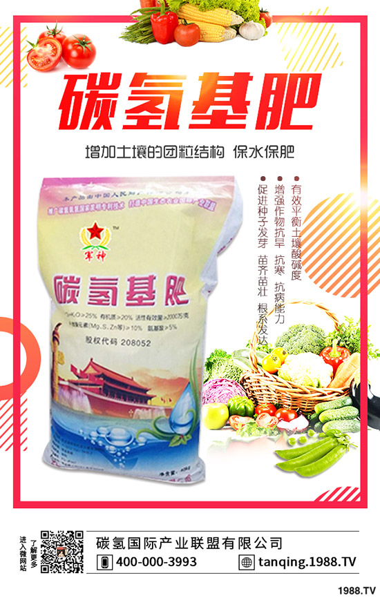 茶花盆景如何施肥,茶花盆景的施肥技巧有哪些