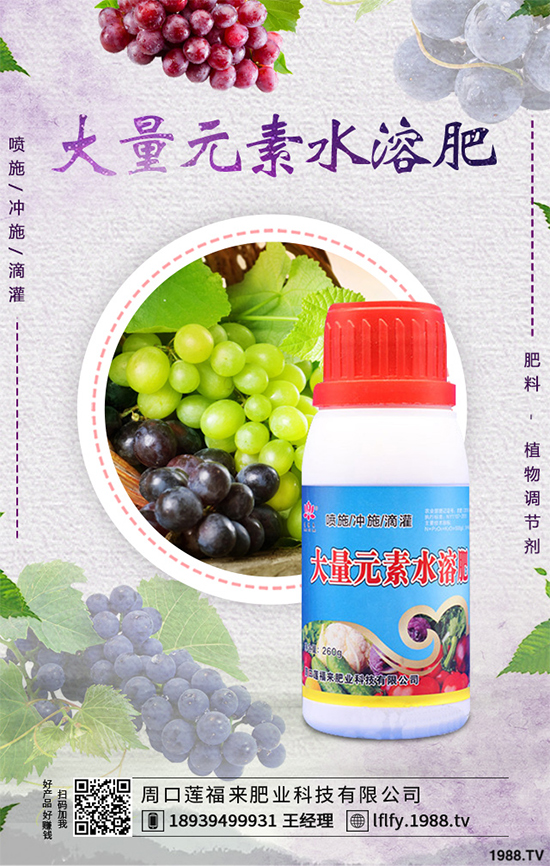 ���v�̶����Xһ��Nֲǰ���������ˎ�ĵ�Ч�����