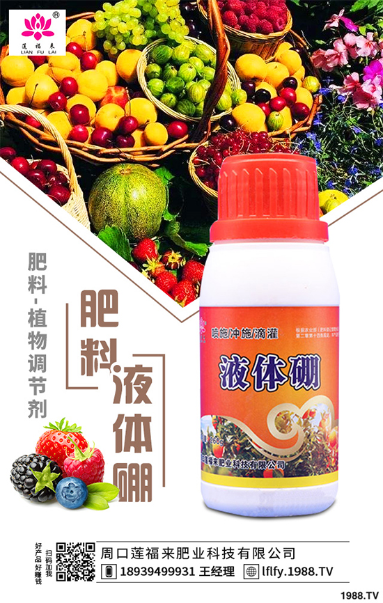 ���v������Щ��;��ԓ������ࣿ���v�������������g