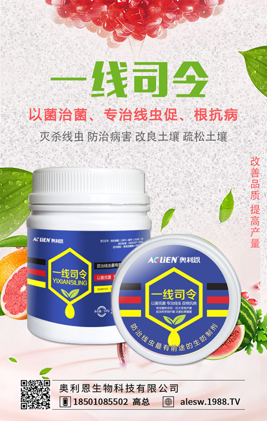 �㶹��������ʲôΣ�����㶹�������İl(f��)��Ҏ(gu��)�ɼ�������