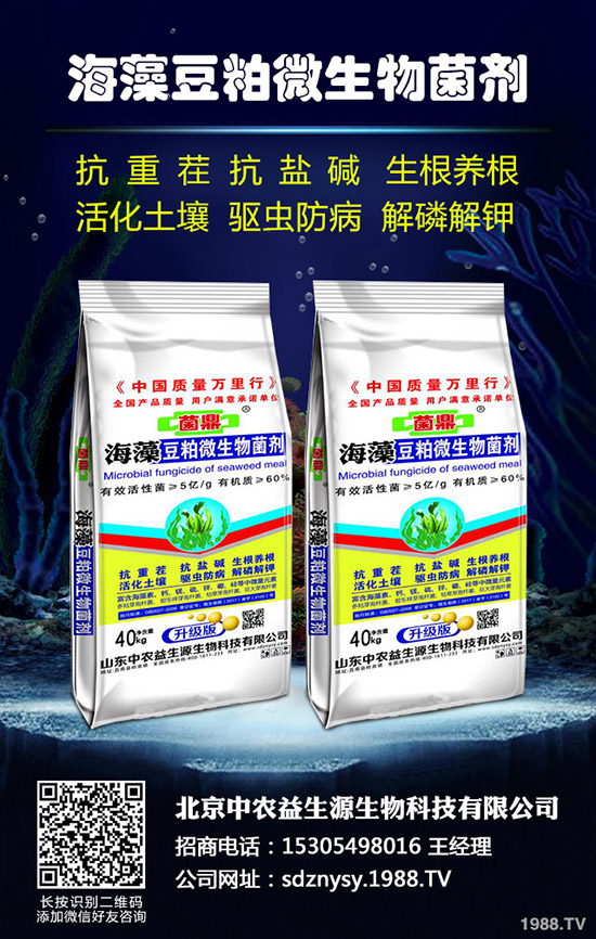     2020-4-8�Zʳ��ȫ�ٶ���������(f��)�Ϸ����鱻������ԭ�����@����