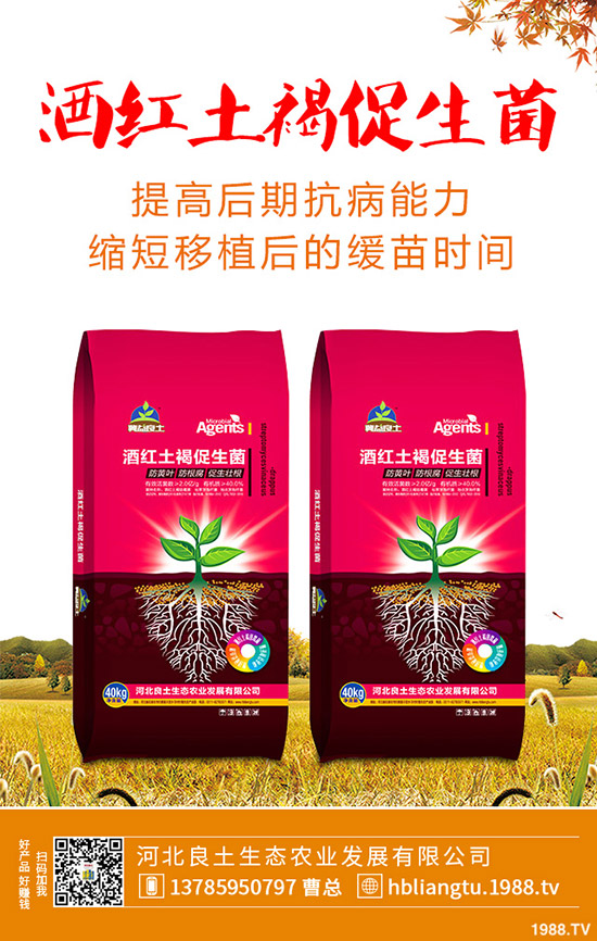 �{��ʲô�r(sh��)��Nֲ�^�����{�˵ķNֲ���g(sh��)�c���g����