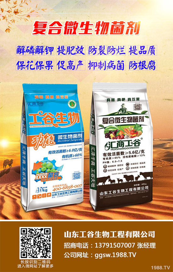 С���l�P��������Ű���r(n��ng)������ԓզ�k���P(gu��n)�I߀�ǿ��A����