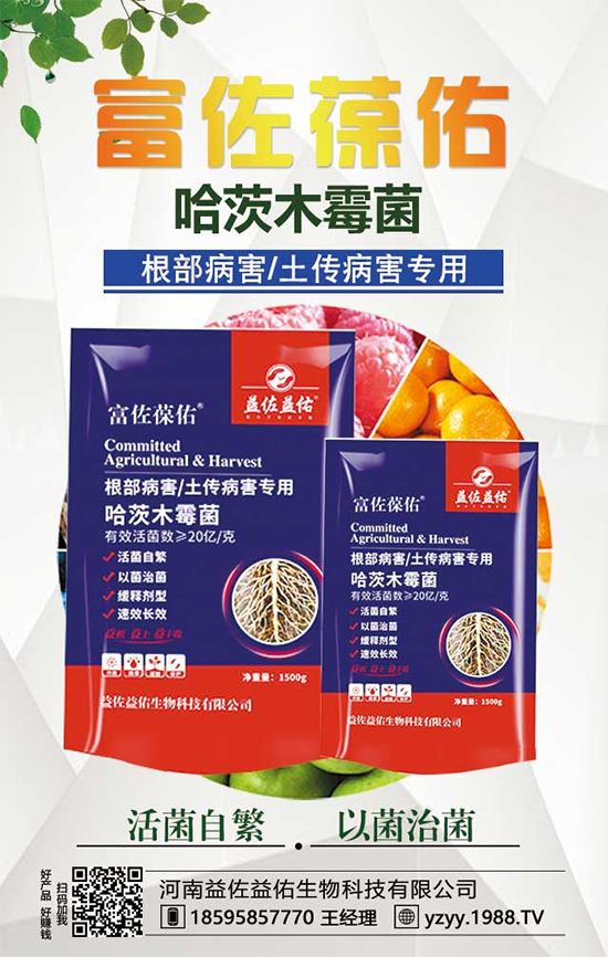 ���^����ʲô�I(y��ng)�B(y��ng)�r(ji��)ֵ�������^��ʲô��̎��