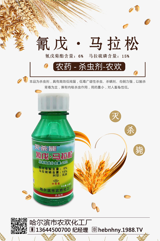 �N��̎�횢�x��