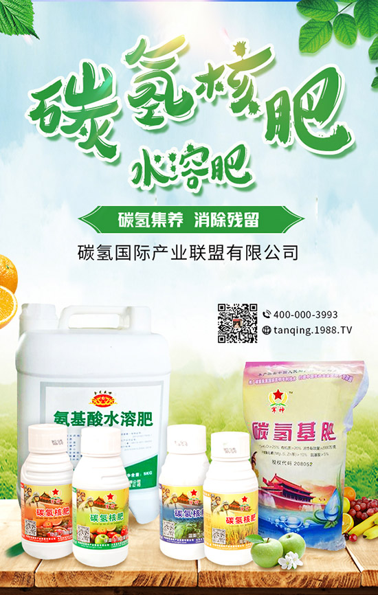     5�¿��ԷNʲô����5���߲˷Nֲָ�ϼ���ע�����(xi��ng)��