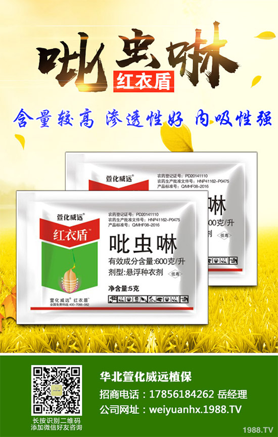     2019���҇�(gu��)�r(n��ng)ˎ�r(ji��)��ָ��(sh��)�\(y��n)�иśr��2020���A(y��)�y(c��)