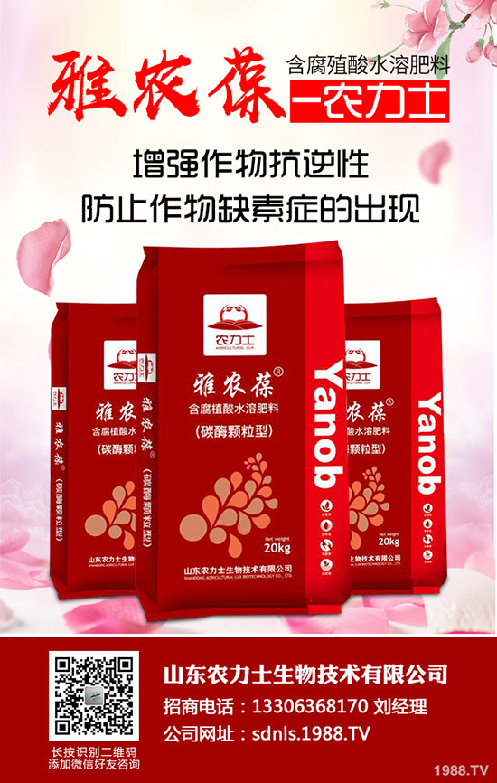     ���؃r������������Εr�ǂ��^��2020-5-14�����������r�Ƕ�����